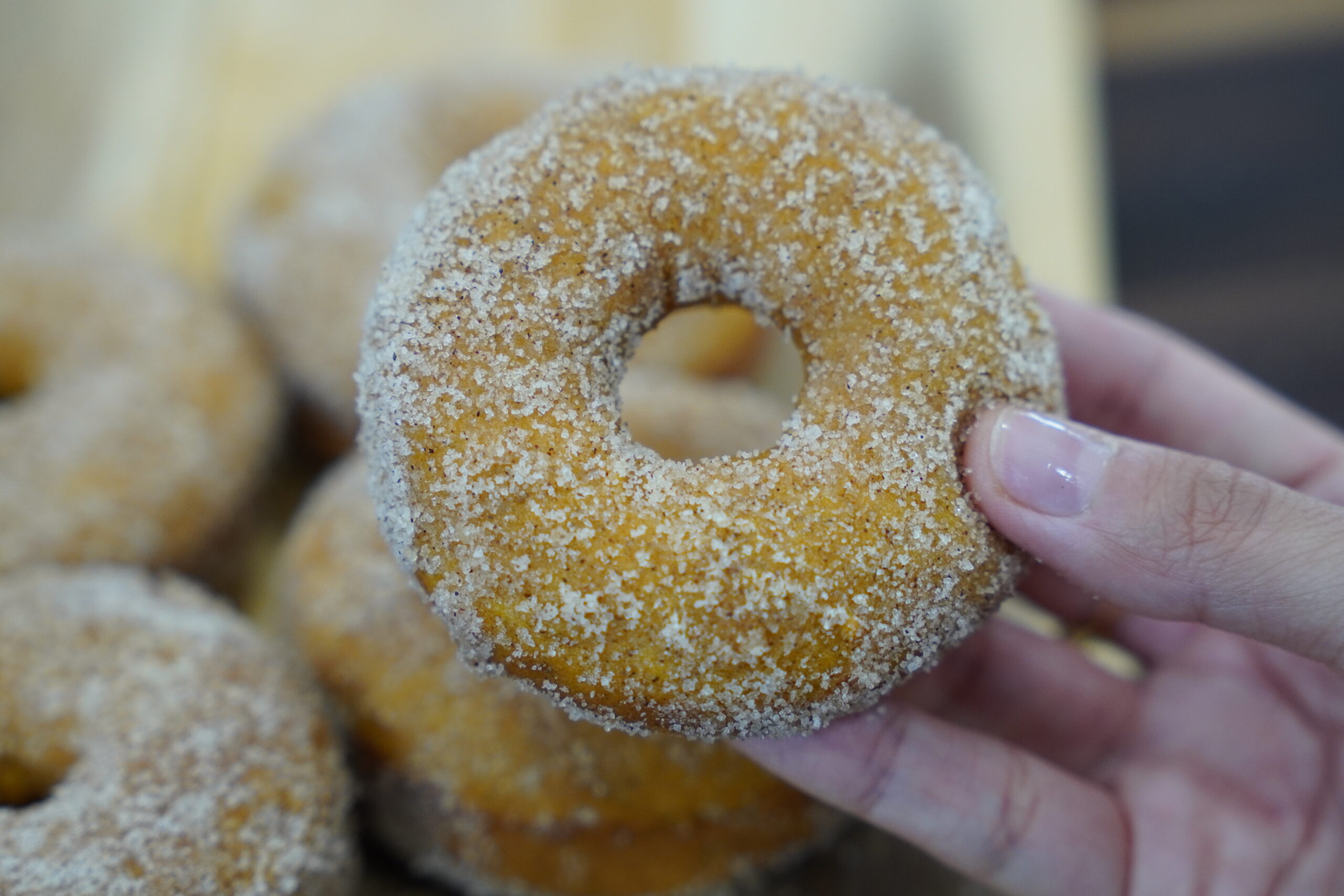 Pumpkin Donuts