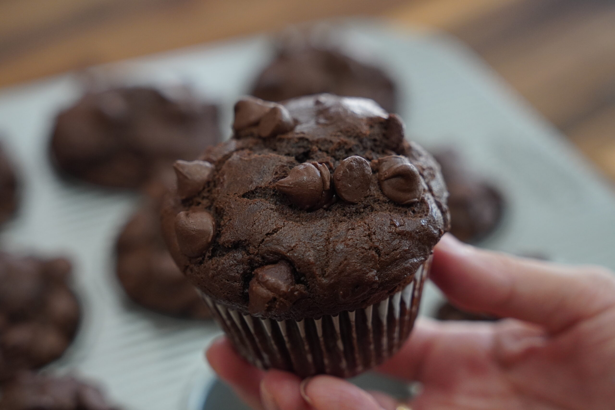 Chocolate Muffins