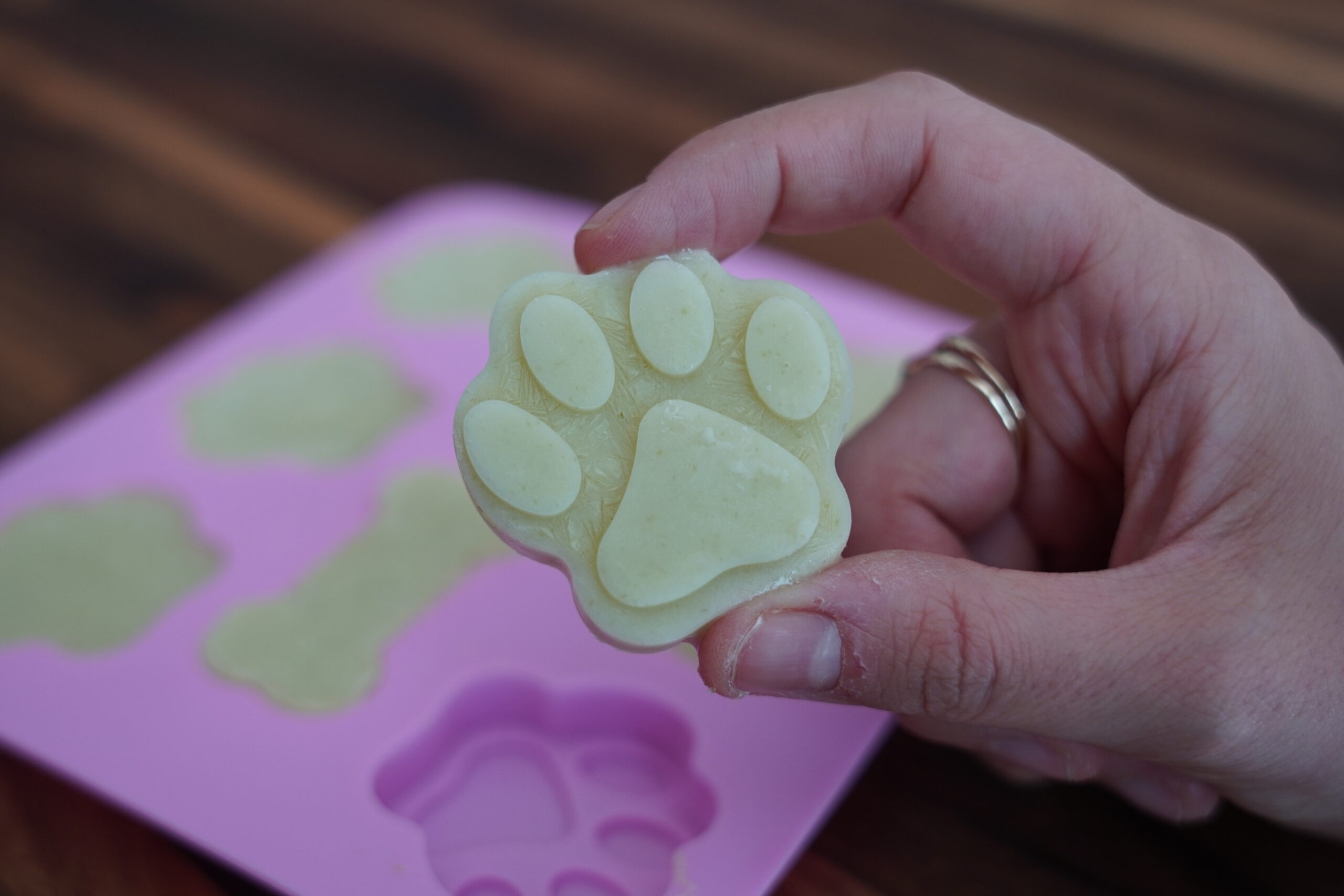 Frozen Apple Dog Treats