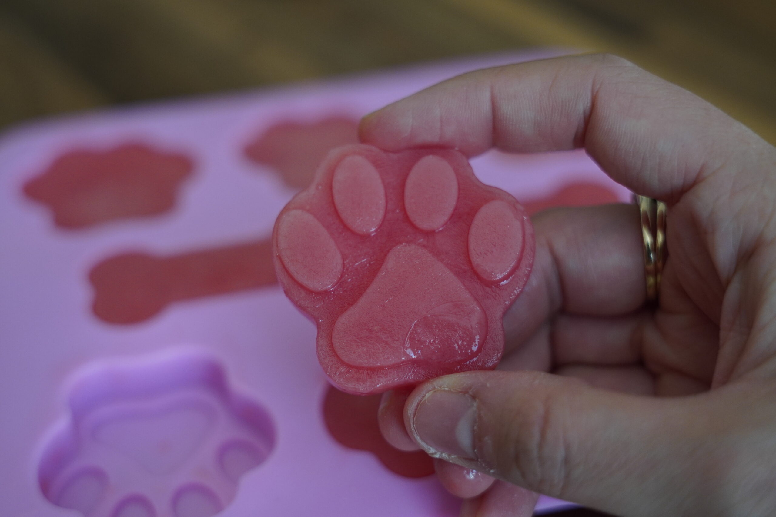 Frozen Watermelon Dog Treats